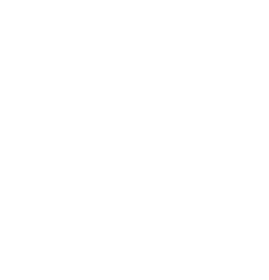 Kollektivet livet